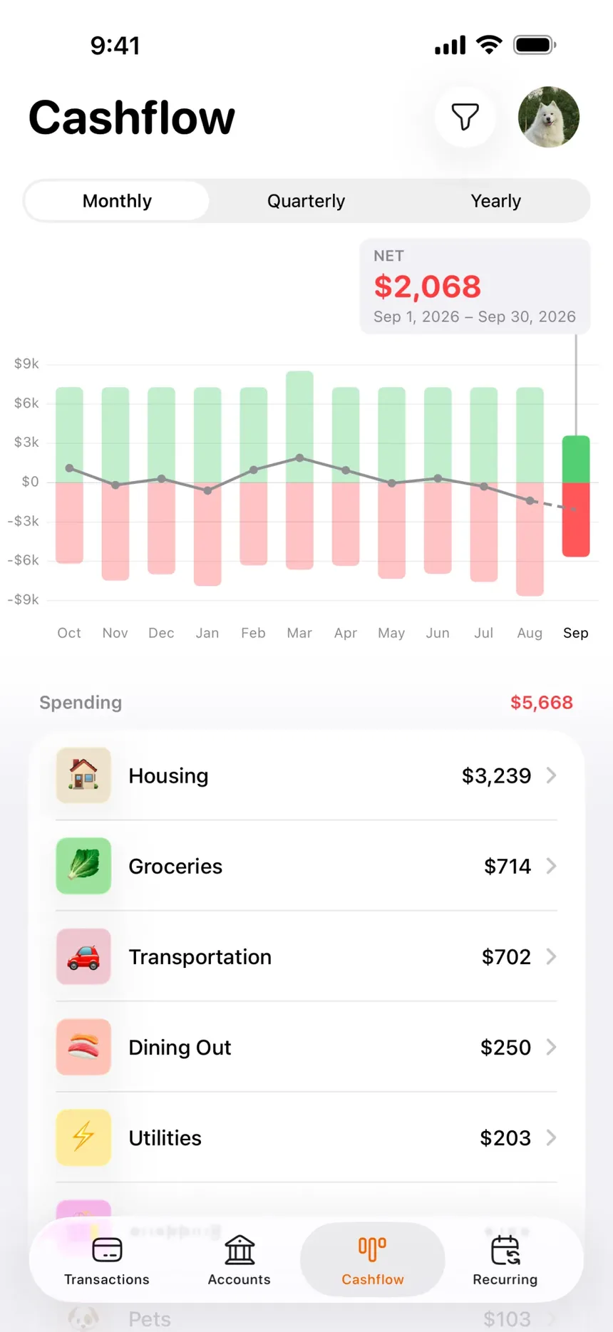 Penny's Cashflow tab comparing income with expenses by category.